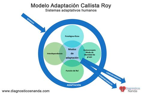 Modelo Adaptaci N Calista Roy Sistemas Adaptativos Humanos