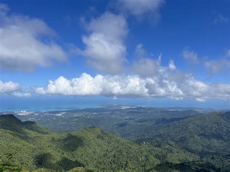 Visiter La Forêt Nationale Del Yunque à Porto Rico Travel Guide