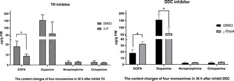 Frontiers Tyrosine Hydroxylase And Dopa Decarboxylase Are Associated