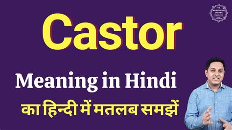 Castor Meaning In Hindi Castor Ka Kya Matlab Hota Hai Online