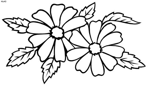 Free Flowers Drawing Pages, Download Free Flowers Drawing Pages png images, Free ClipArts on ...