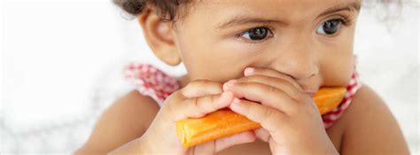 Creating Balanced Meals for Toddlers | New Ways Nutrition