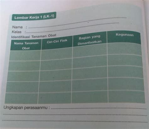 Biologi Lembar Kerja 1 Lk 1 Nama Kelas Identifikasi Tanaman