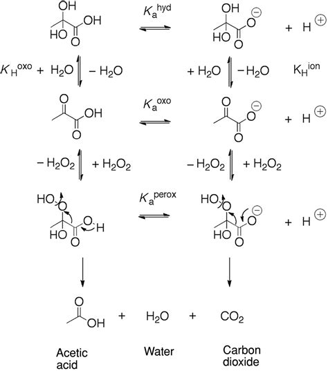 Decarboxylation Mechanism Carboxylic Acid