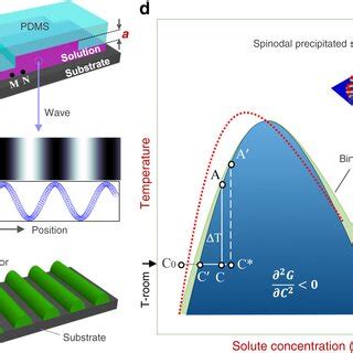 Schematic Illustration Of Proposed Concentration Wave Formation