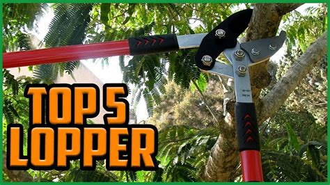 Top 5 Best Loppers Reviews [tree Branch Cutter] Youtube