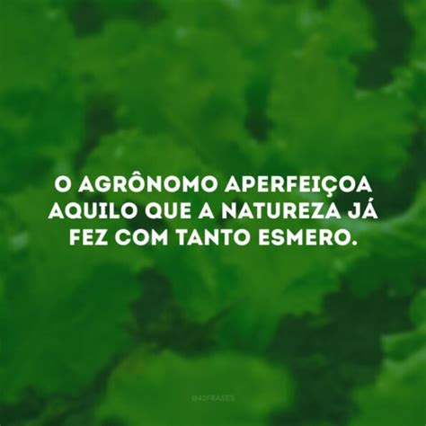 Frases De Agronomia Para Quem Apaixonado Pela Vida Do Campo