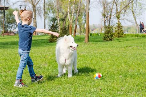 Un Ni O Peque O Con Los Vidrios Juega Una Bola Con Un Perro Blanco Foto