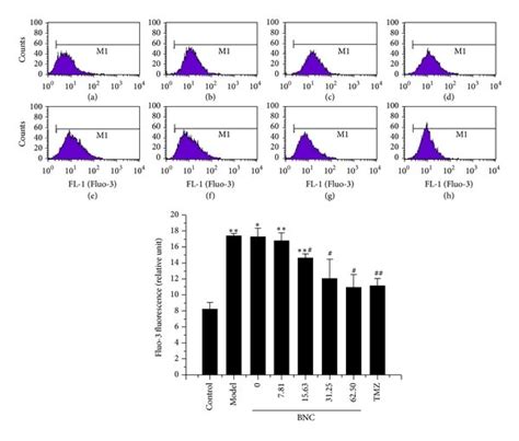 BNC reduced H2O2 induced cytosolic Ca² concentrations in H9c2 cells