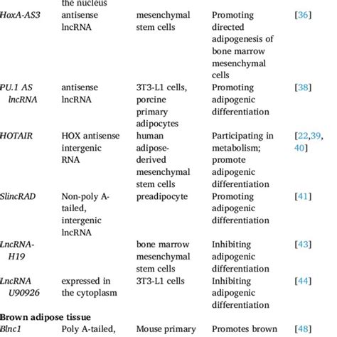 Adipogenesis Related Long Noncoding Rnas Download Scientific Diagram