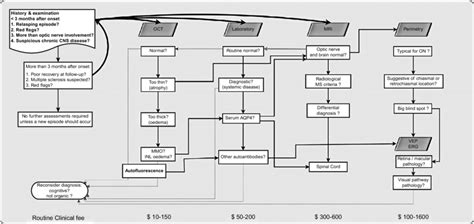 Diagnostic Workup For Patients Presenting With Autoimmune Visual