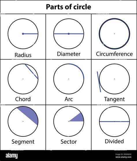 Parts of circle Diameter. highlight in blue color. vector illustration ...