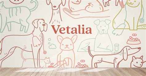 Vetalia - El mejor trato humano pensado para mascotas