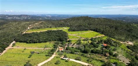 Fazendas S Tios E Ch Caras Reservat Rio De Gua Venda Minas