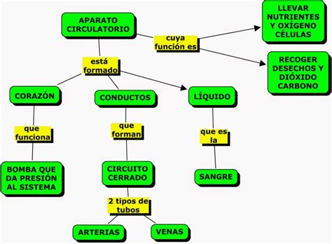 Mapa Mental Sistema Circulatorio Edulearn