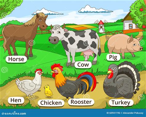 Farm Animals With Names Cartoon Educational Stock Vector - Image: 60941196