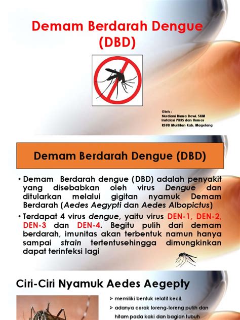 Demam Berdarah Dengue Pdf