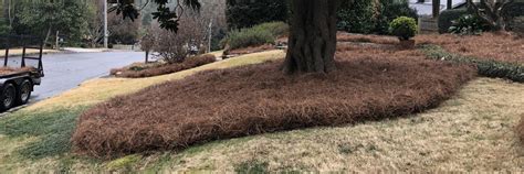 Atlanta Pine Straw Installation | Sandy Springs GA Pine Straw Landscaping