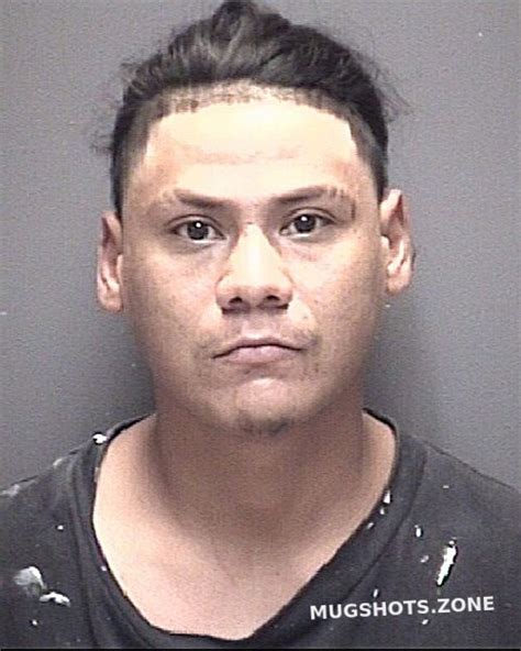 Machado Francisco Javier Galveston County Mugshots Zone