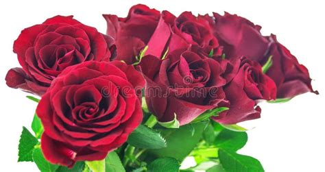 Ramalhete De Rosas Vermelhas Foto De Stock Imagem De Bonito Simples