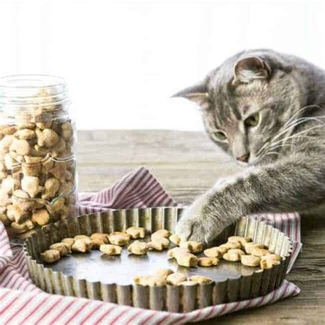 Homemade Cat Treats Recipe - The Cookie Rookie®