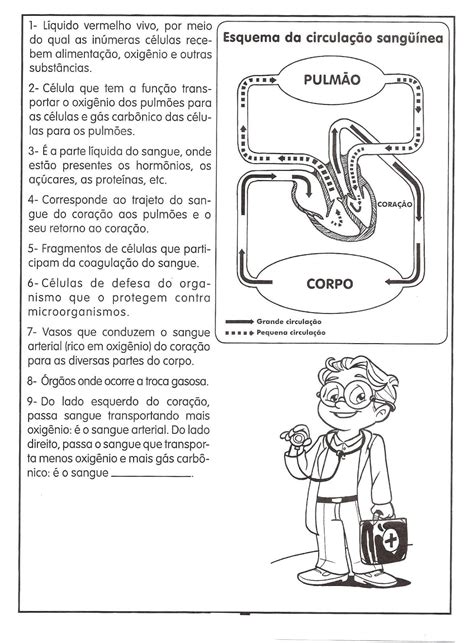 Atividade Sistema Circulatório 5 Ano FDPLEARN