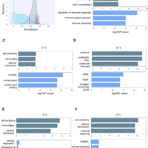 Distribution Of W Matrix Coefficient And Top Gene Ontology Terms A