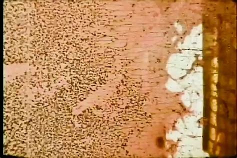 Twisted Head Full Movie Original Version Hardcore Porn Feat Cyndee Summers XHamster