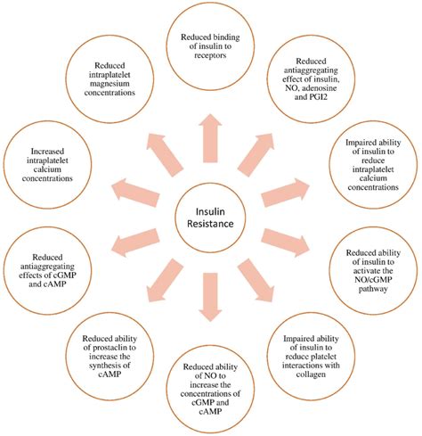 Summary Of Platelet Alterations In Insulin Resistant States Download Scientific Diagram