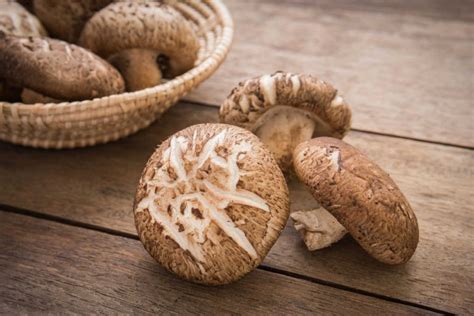 The Best Shiitake Mushroom Substitutes For Your Recipes