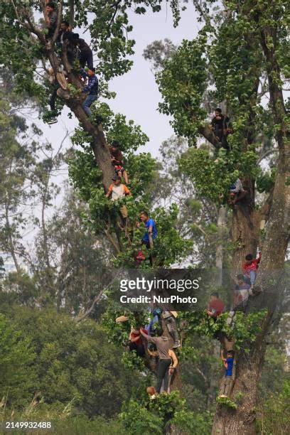 Cricket Bowling Photos And Premium High Res Pictures Getty Images