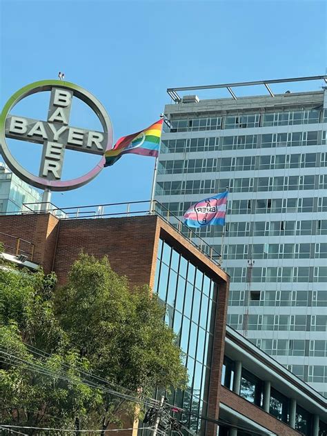 Bayer Office Photos Glassdoor