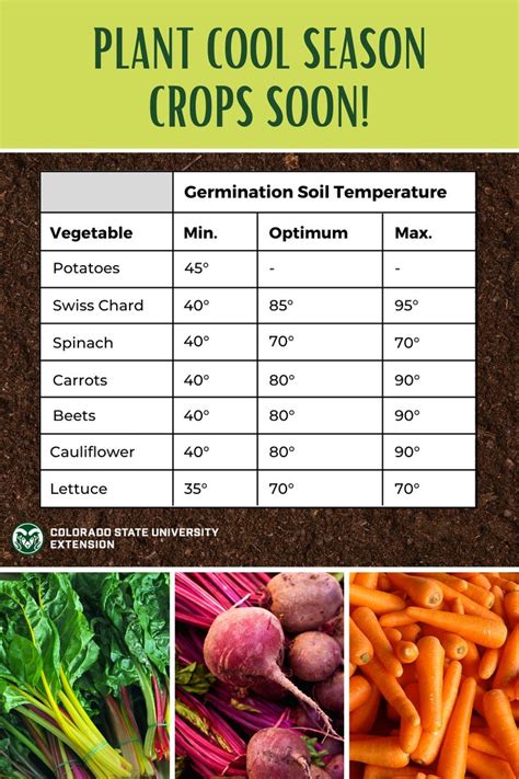 Colorado Vegetable Planting Calendar