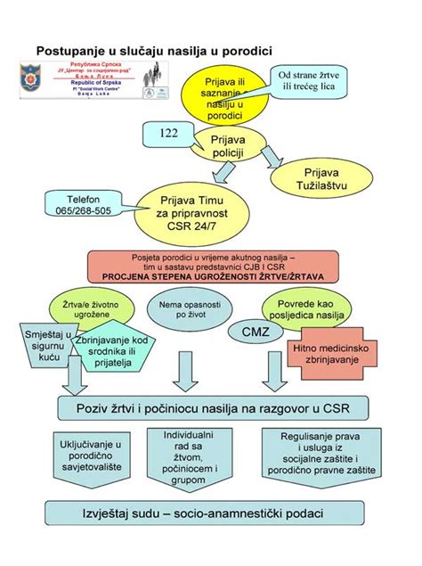 Postupanje u slučaju nasilja u porodici