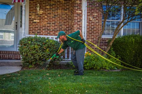 Insect And Disease Control For Trees And Shrubs Turfgator