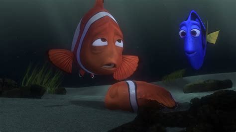 Finding Nemo Marlin And Nemo