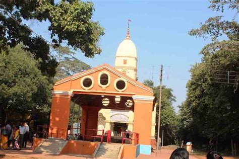 ‘Holy Forest’ around Jhargram declared Bio-Heritage Site