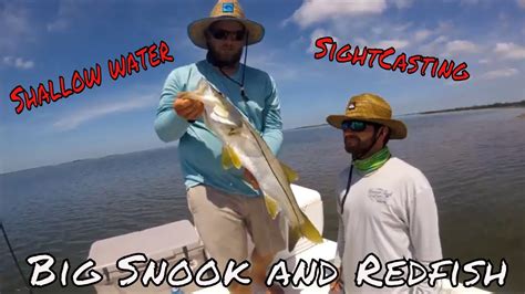 Sightcasting Big Snook And Redfish In Shallow Clearwater Youtube