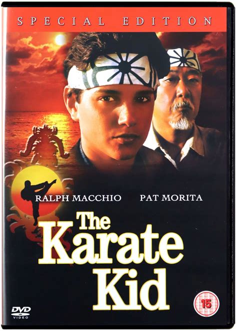 Купить КАРАТЭ КИД (СПЕЦИАЛЬНОЕ ИЗДАНИЕ) (DVD): отзывы, фото и ...