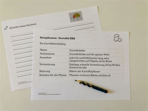 Projekt Nutzpflanzen Kartoffel Xxx Link Und Materialsammlung F R