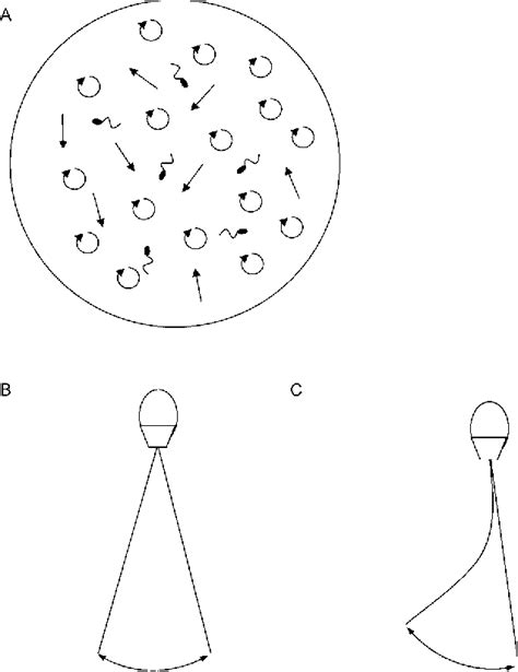 Figure 1 From Hyperactivated Motility Of Frozen Thawed Spermatozoa From