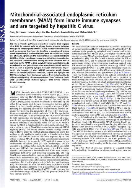 Pdf Mitochondrial Associated Endoplasmic Reticulum Membranes Mam