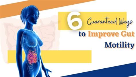 6 Guaranteed Ways To Improve Gut Motility What Diet Is It