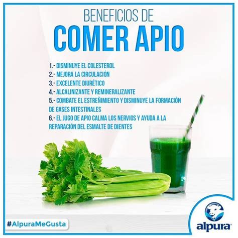 Beneficios Para La Salud De Comer Apio Diariamente In Get