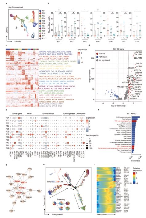 Heterogeneity Of Cancer Associated Fibroblasts Cafs And Download