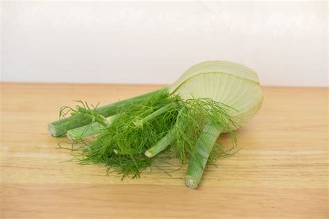 Fennel Bulb – Riverlea