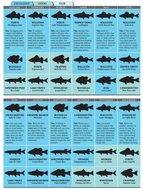 Michigan Fish Species Chart