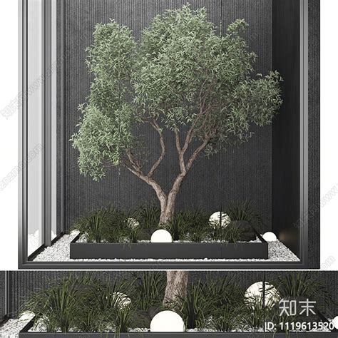 现代植物造景3d模型下载【id1119613520】知末3d模型网