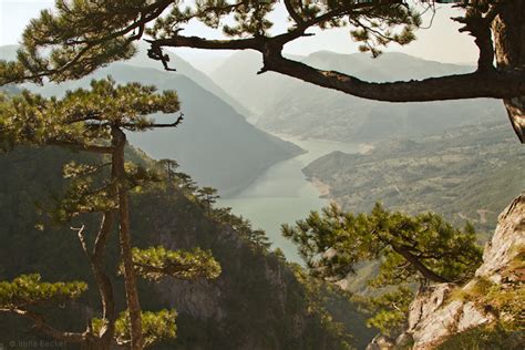 Drina River, Tara National Park | Unusual Places