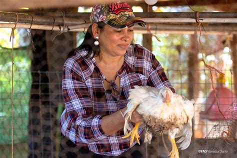 María Batista mujer panameña agricultora y protagonista de